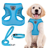 PUPTECK conjunto arnés-collar-leash paso-in, ideal para paseos diarios.