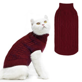 PUPTECK sudadera gato invierno frente: mantiene calor cómodo.