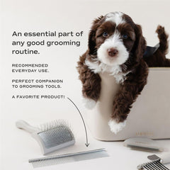 Pupwell: peine con funda protectora de cuero vegano para almacenamiento práctico.
