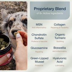 Pure Dogs Hip y Joint: caja de producto lista para estantería