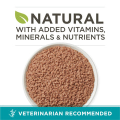 Purina ONE pate de res y hígado para gatos adultos, sabor sabroso.
