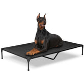 PVY Cama elevada para perro, vista exterior, ideal para descansar al aire libre.