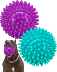 Bola Pweituoet para perros 4-5 pulgadas, resistente a mordidas