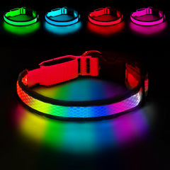 PWOD collar LED con 7 colores para mayor visibilidad en paseos nocturnos
