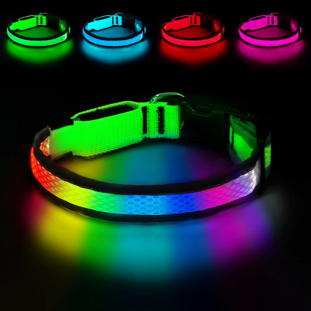 PWOD collar LED 7 colores para mayor visibilidad nocturna de tu perro