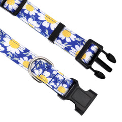 Collar PWOD de neopreno con confort para perros