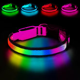 Collar PWOD iluminado con 7 colores para visibilidad nocturna.