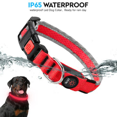 PWOD collar LED USB recargable sin baterías para perros
