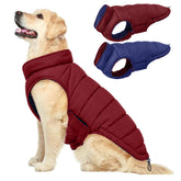 QBLEEV abrigo inversible para perro, dos caras para clima variable.