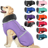 QBLEEV abrigo para perros con rayas reflectantes, mejora visibilidad nocturna.