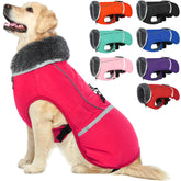 QBLEEV abrigo para perro con diseño reflectante para mayor visibilidad nocturna