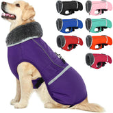Abrigo QBLEEV para perro con tiras reflectantes para mayor visibilidad nocturna