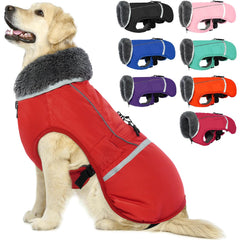 QBLEEV capa para perro con banda reflectante para mayor visibilidad nocturna.