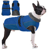 QBLEEV chaqueta para perros con reflectante para paseos nocturnos más seguros.