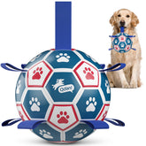 QDAN balón para perro 8 pulgadas frente, ideal para juego interactivo al aire libre