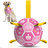 QDAN bola de cumpleaños para perro con campana, ideal para grabaciones.