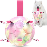 Pelota de fútbol para perros QDAN arcoíris, ideal para juegos al aire libre.