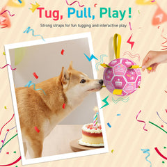 QDAN bola de fútbol para perro duradera para juego activo.