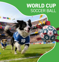 Pelota QDAN con patitas impresas para captar atención durante el juego