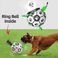 QDAN bola con rebote errático, mantiene al perro activo y contento.