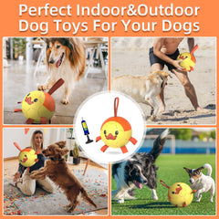 QDAN Pelota para perro que flota, perfecta para juegos en agua.