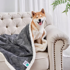 Manta Qeils para perros pequeños, vista frontal, suave y cálida para casa.