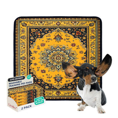 Tapete lavable Qeils 36x36 absorbente para entrenamiento canino.