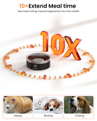 Qiuma tazón de 2 tazas, ideal para perros pequeños y medianos.