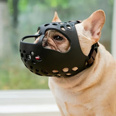 QQLe bozal corto para perro francés y bulldog: ajuste cómodo y respiración libre.