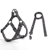 QQPETS arnés ajustable para perro, cómodo durante paseos.