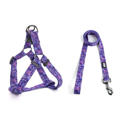 QQPETS arnés ajustable para perro, paseos cómodos sin tirones.