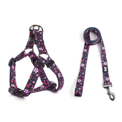 QQPETS arnés para perro con diseño único para paseos con estilo y visibilidad.