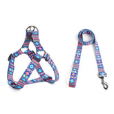 QQPETS arnés y correa ajustables para paseos cómodos.