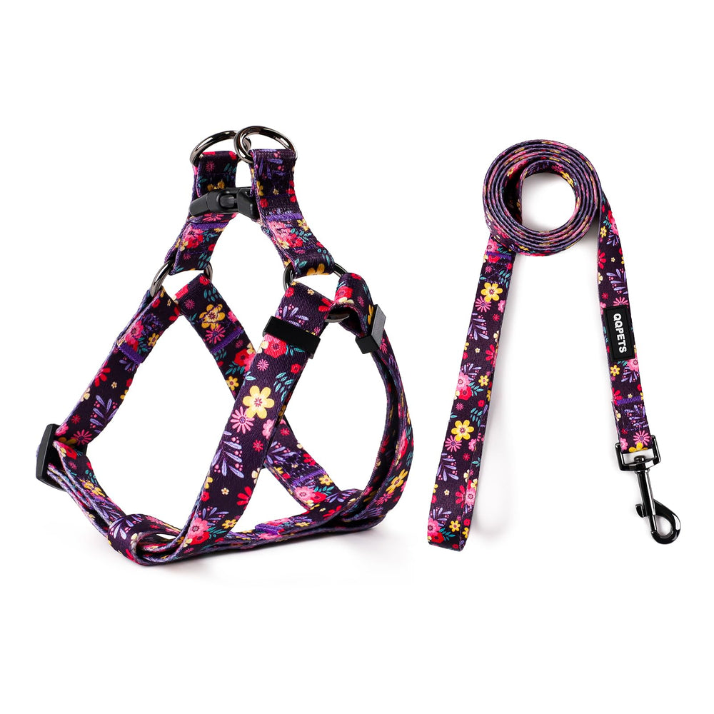 QQPETS correa-arnes-perro-ajustable-paseo: conjunto cómodo para paseos.