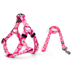 QQPETS correa perro 5 pies, duradera para caminatas diarias.