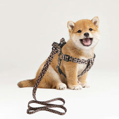 QQPETS diseño patrón elegante para mascotas que destacan durante los paseos.
