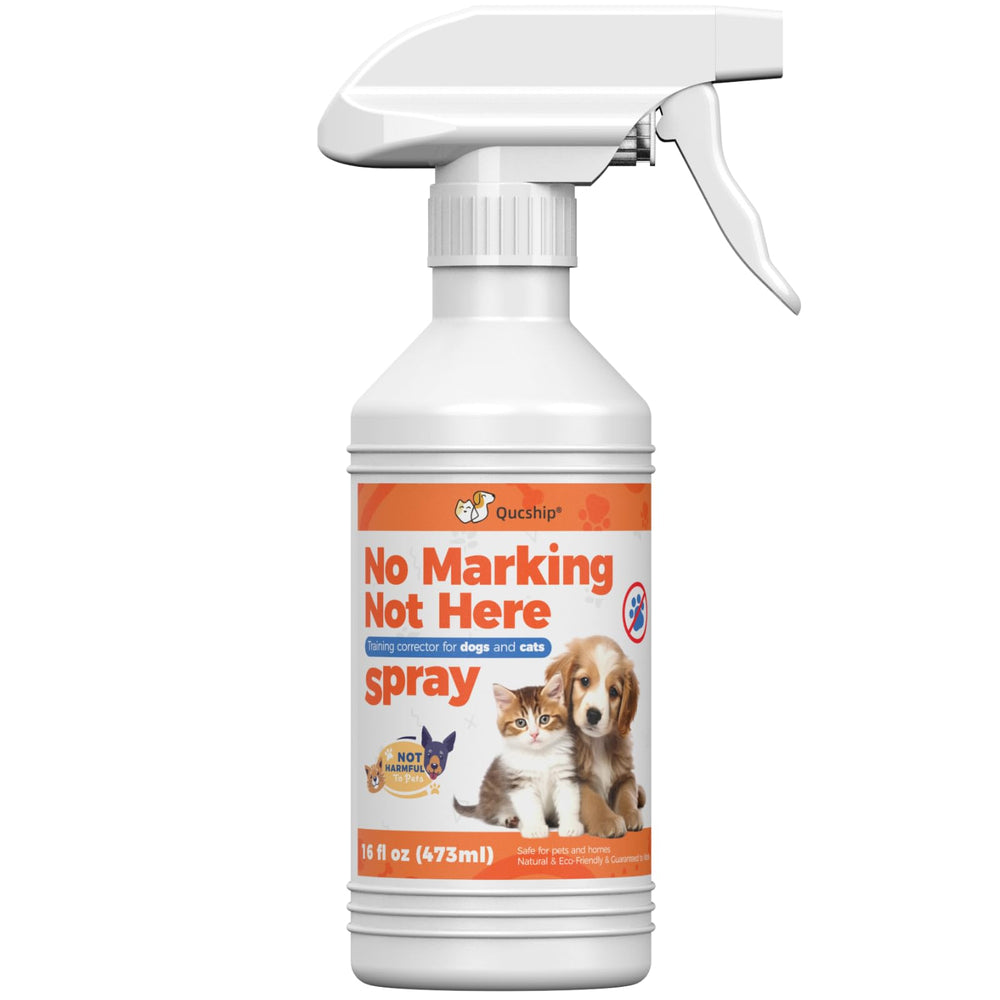 Qucship No More Marking Spray en alfombra para evitar marcas de orina.