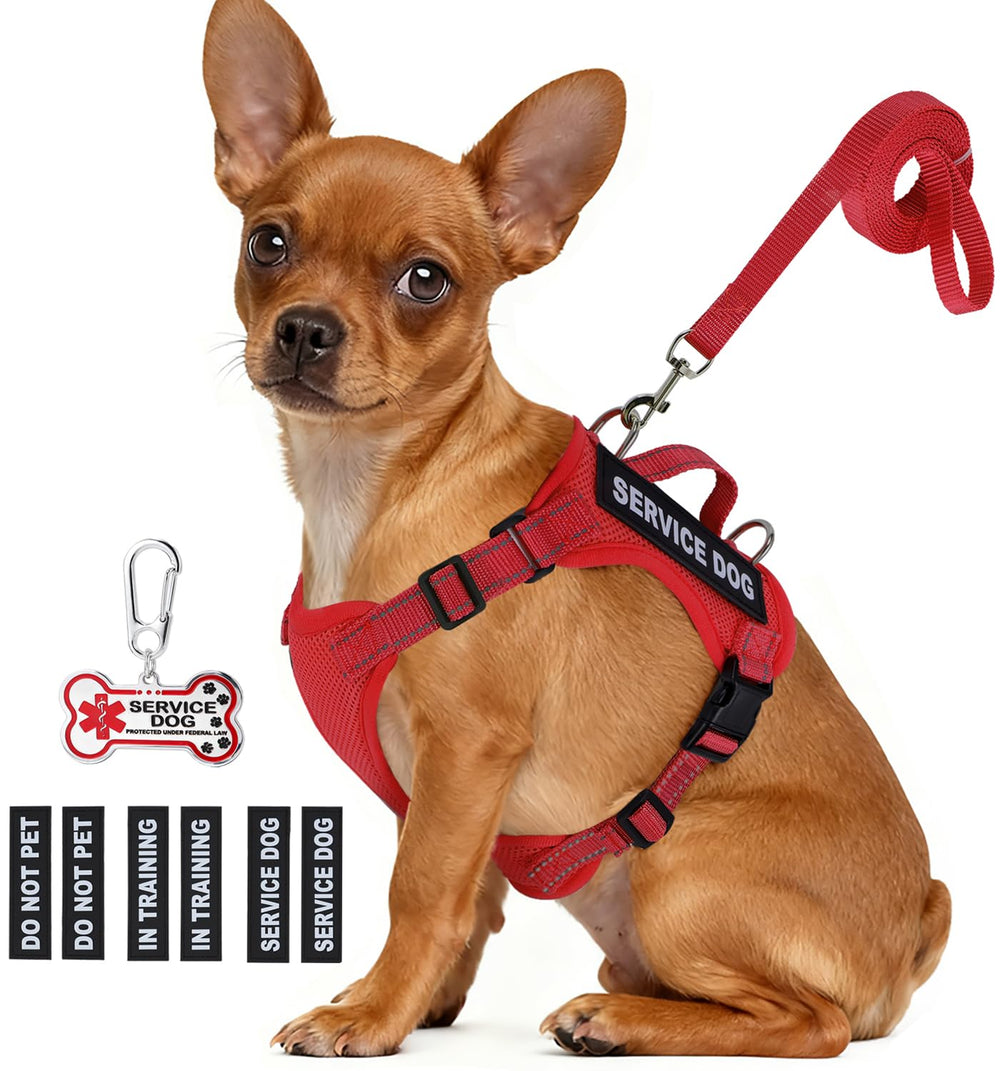 QUDLIMO chaleco ligero para perro pequeño con parche de identificación para entrenamiento seguro