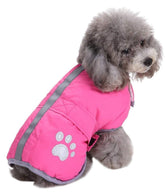 Abrigo impermeable Queenmore para perros, ideal para climas fríos.