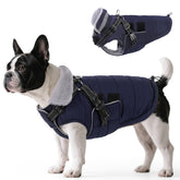 Queenmore abrigo para perro con arnés integrado, vista frontal en azul marino.
