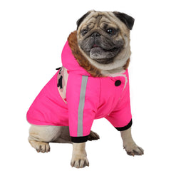 Queenmore capa camuflada para perro, ideal para paseos en frío