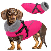 Queenmore capa para perro frontal muestra protección cálida para paseos diarios