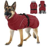 Queenmore capa perro grande, aislamiento con forro polar para paseos fríos.