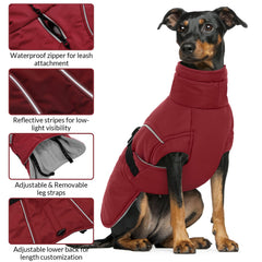 Queenmore capa perro diseño a prueba de viento para climas fríos.