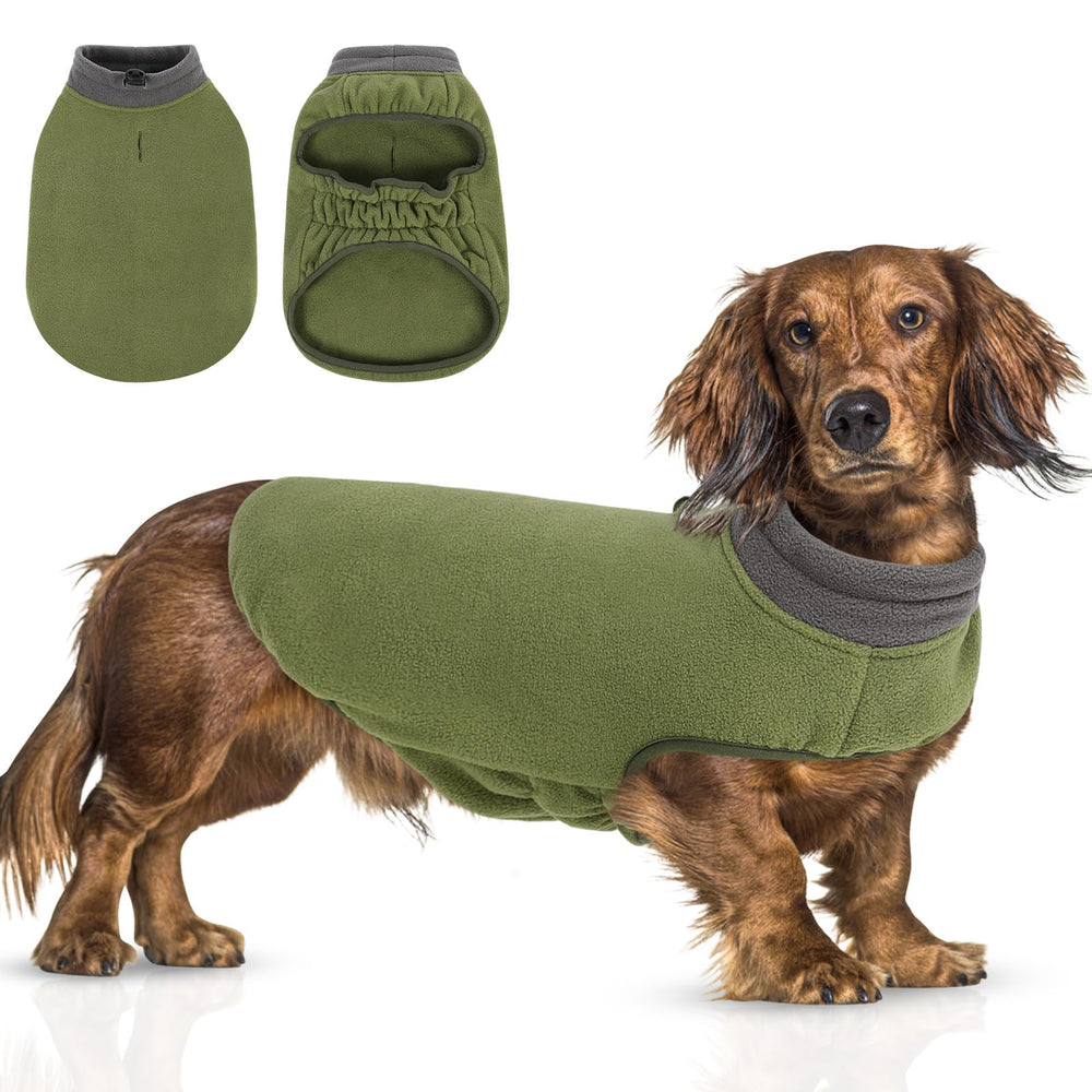 Queenmore chaleco para perro, vista frontal, cálido y cómodo para días fríos.