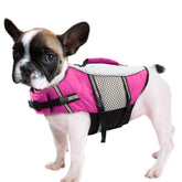 Queenmore chaleco salvavidas para perro en neopreno rosa con flotación alta.