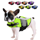 Chaleco salvavidas Queenmore para perro pequeño, vista frontal, ayuda a flotar.
