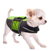 Queenmore chaleco vida para perro pequeño, frente, opción segura para paseos acuáticos.