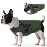 Queenmore chaqueta de invierno para perro mediano con arnés incorporado, ideal para paseos en lluvia.