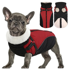 Queenmore chaqueta invierno para perro mediano, vista frontal, ofrece calidez y ajuste cómodo.